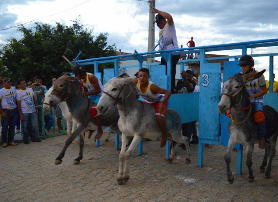Corrida de Jegue em Zabelê